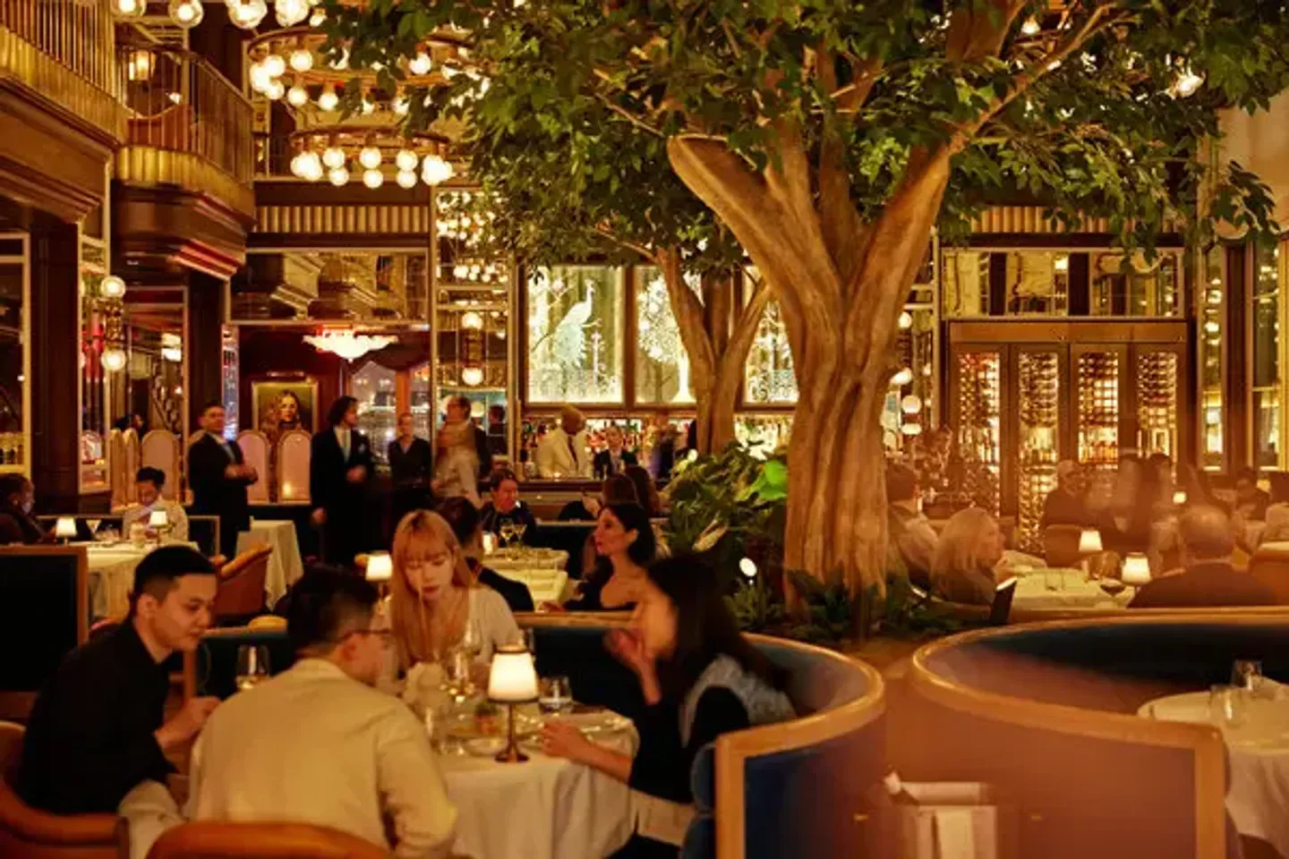 Interior dining scene at Café Carmellini in New York City with lush tree and guests